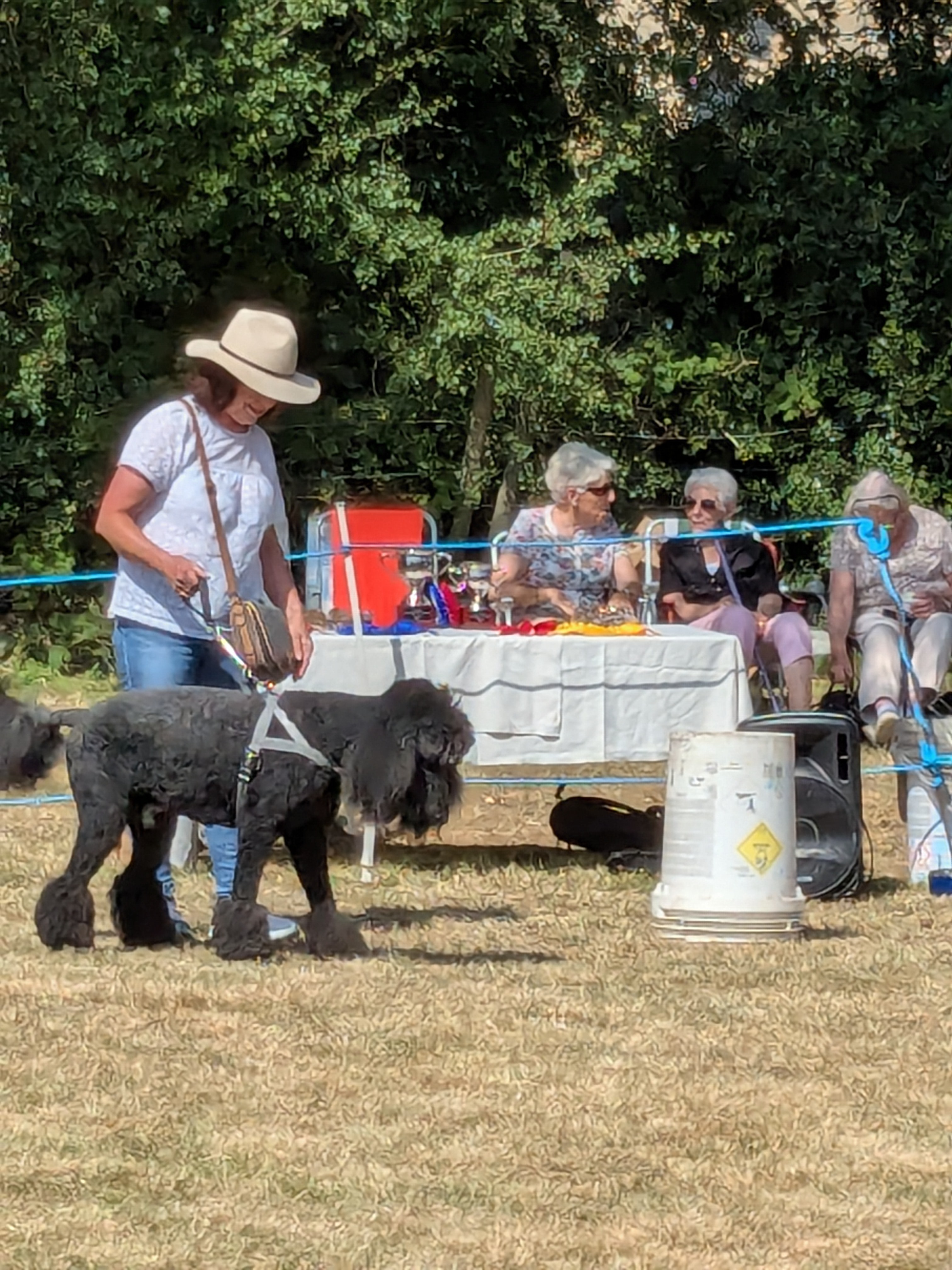 Dog show 6
